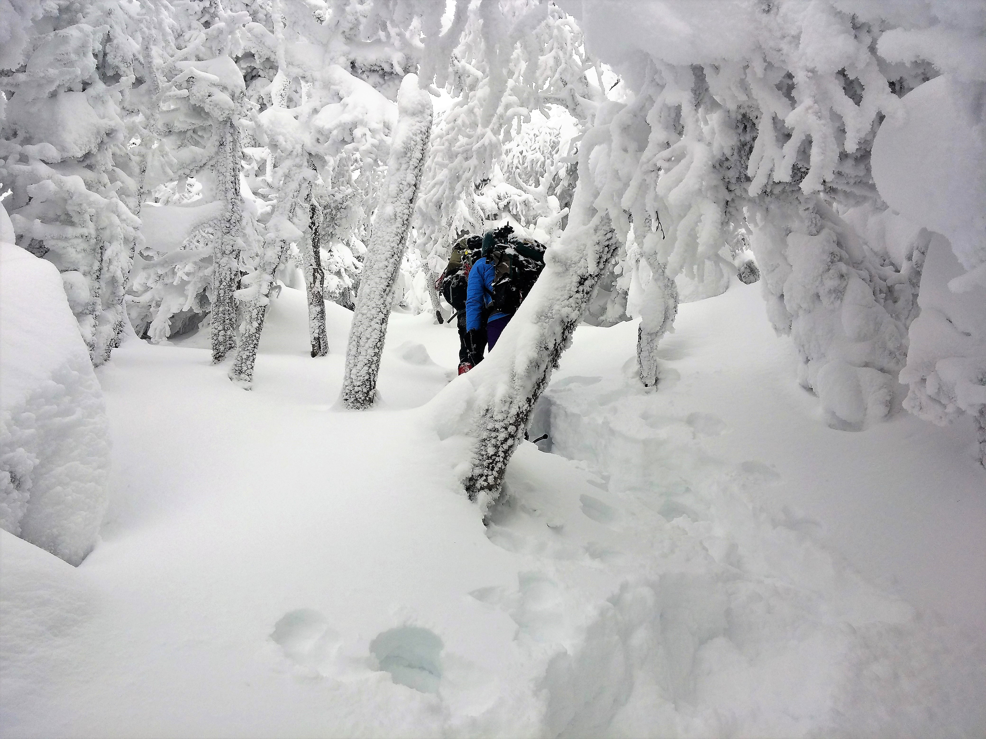 deep-freeze-little-house-big-woods